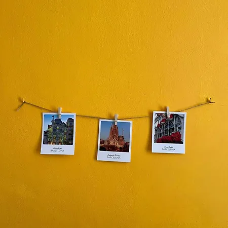 Sunflower Apartment Barcelona