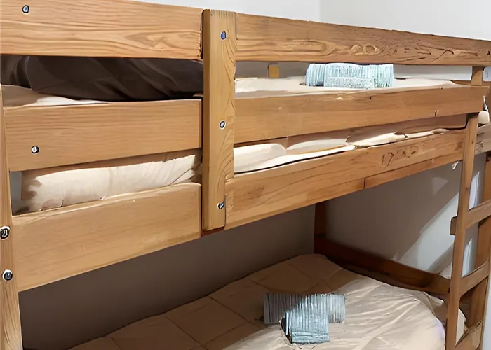 Sunflower * 바르셀로나