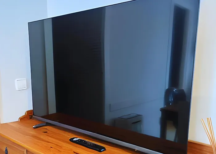 Sunflower * 바르셀로나