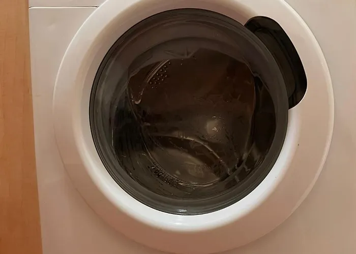 Sunflower 바르셀로나