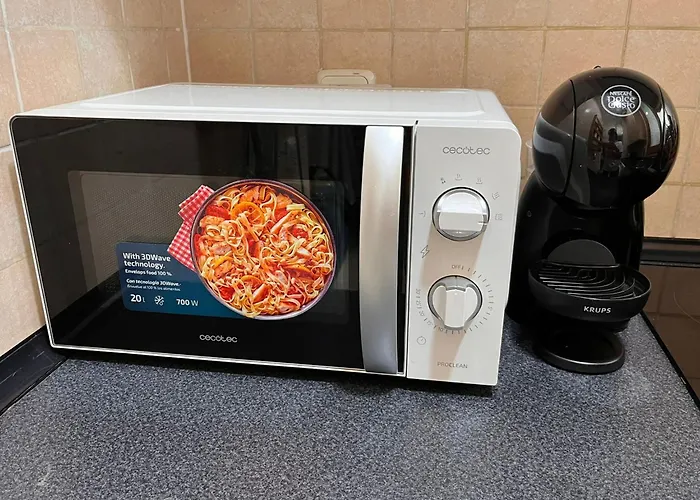 Sunflower * 바르셀로나